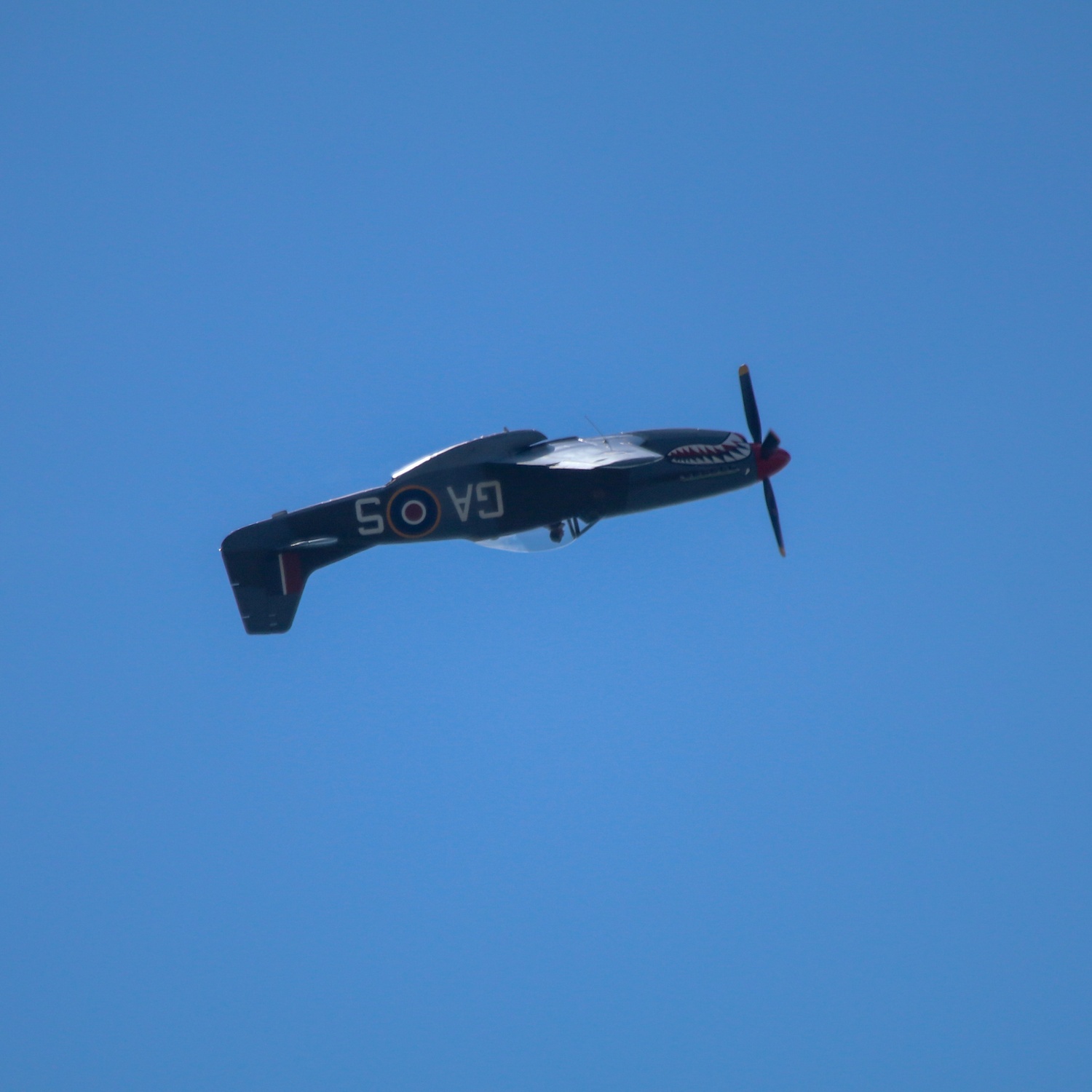 North American P-51 Mustang flying upside down as part of loop against clear blue sky