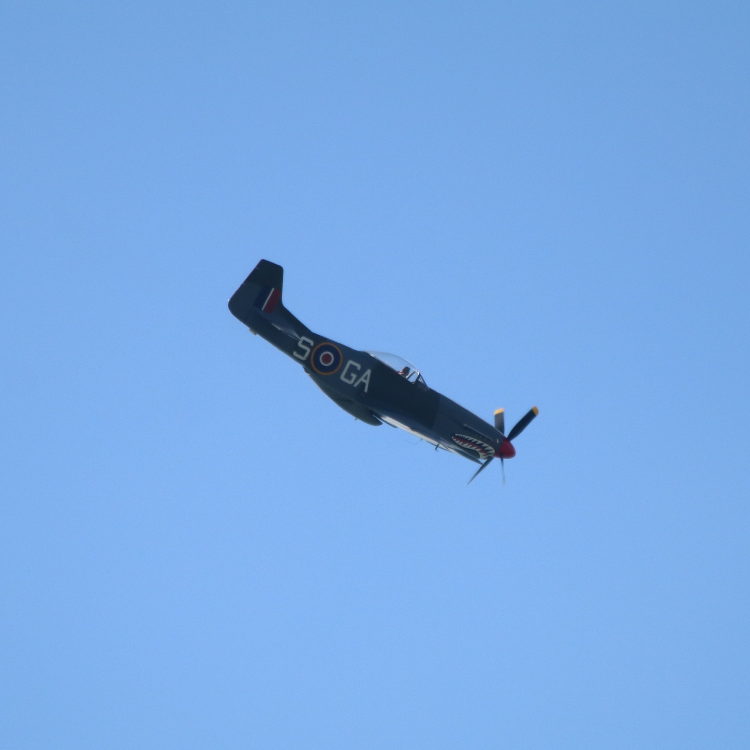 North American P-51 Mustang flying down and right against clear blue sky