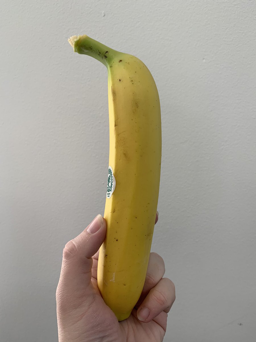 My holding a particuarly straight banana against a white wall