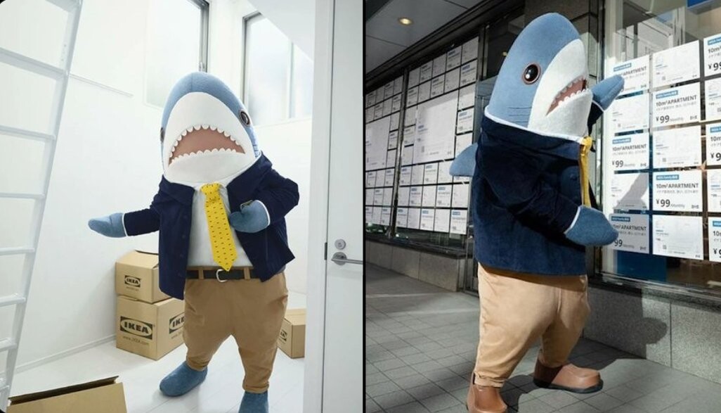 Vertically split image. Both halves feature a full-size Blahaj (shark) mascot suit. The shark is standing up wearing light brown trousers, a dark blue jacket and a yellow tie. In the left image, the Blahaj is standing in a white room with a few cardboard Ikea boxes on the ground. In the right image, they are standing to the side, gesturing towards a grid of product pricing labels.