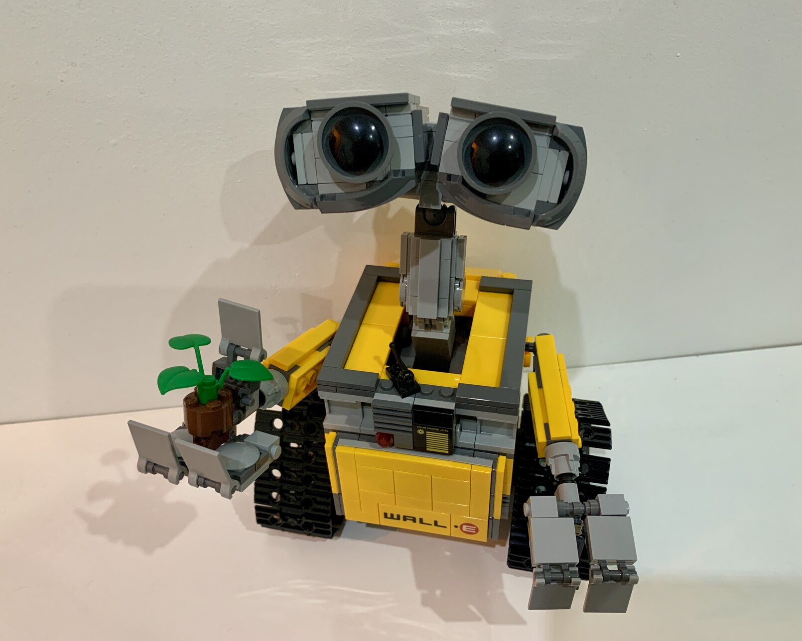 Built Lego WallÂ·E robot from the Pixar film looking at the camera and holding a plant in his right hand.